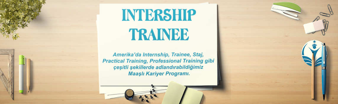 İnternship Trainee